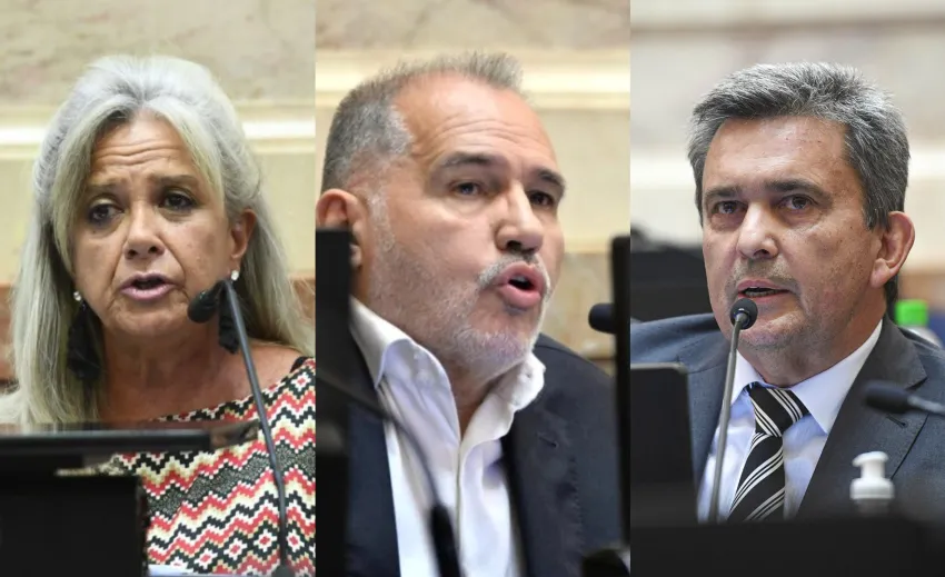 Ley Bases: de los tres senadores por Chaco, dos votarían en contra y hay un voto en duda